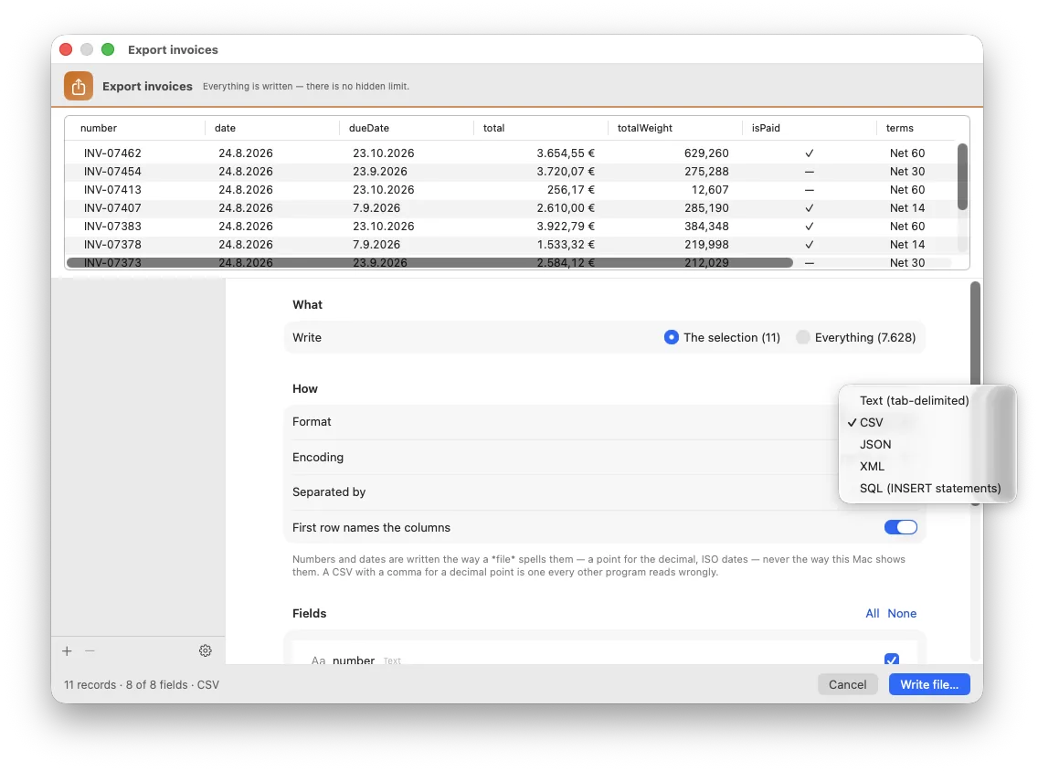 The export window: the real rows above, format and fields below