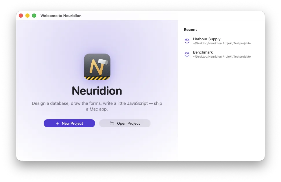 Neuridion's welcome window: New Project, Open Project, and the recent ones